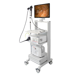 Endoscopy